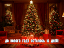 До нового года осталось 10 дней 