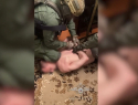 Подозреваемого в убийстве ребенка, совершенного 31 год назад, арестовали в Шахтах