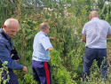 В Шахтах ликвидировали места произрастания диких наркосодержащих растений.