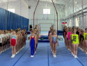 Первенство по спортивной гимнастике прошло в Шахтах 
