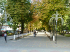 Шахтинский парк повторно обработают от клещей