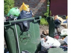 Переполненные мусорные баки на улице Разина в Шахтах не вывозят почти неделю