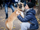 В Шахтах в Александровском парке пройдет выставка собак