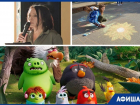 Власть идет в народ, Angry Birds - в кино, а дети рисуют на асфальте: что еще ждет шахтинцев на этой неделе? 