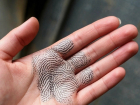 В Ростовской области за год более 600 преступлений раскрыли благодаря отпечаткам пальцев и ладоней