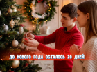 До нового года осталось 20 дней