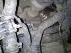Двух котят спасли из моторного отсека заведённого автомобиля в Шахтах 