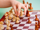 Шахтинский шахматный клуб остался без финансирования