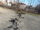 Шахты получили из области 104 миллиона рублей на ремонт дорог