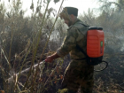 Представители казачьей дружины помогают пожарным в тушении возгораний лесопосадок