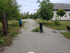 В Шахтах продолжаются работы по благоустройству территории