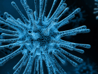 Раскрыты признаки, отличающие коронавирус от гриппа