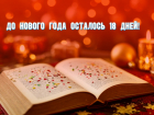 До Нового года осталось 18 дней 