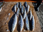 Продавщица рыбы из Шахт получила год колонии за попытку дать взятку в 5 000 рублей