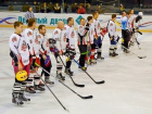 Хоккейный клуб «Снейк» из Шахт будет выступать в НХЛ