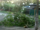 Ураган в Шахтах ломал ветки и обрывал провода 