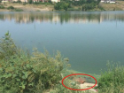 На пруду ХБК обнаружен женский труп