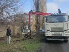 В поселке Аютинский приступили к уборке сухих веток 