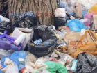 Рядом с жилыми домами образовалась свалка с трупами животных на Артеме в Шахтах