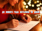 До Нового года осталось 25 дней