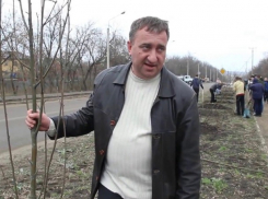 «Хотел быть прозрачным»: в соседнем с Шахтами Миллерово экс-мэр получил срок за пиар