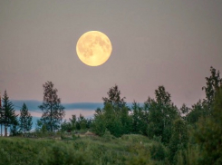 Выкладывайте пустые кошельки под лунный свет: приметы дня для шахтинцев