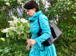 Бабушка сказала, что полезно: шахтинцы массово рвут сирень