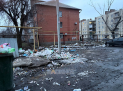 В Шахтах на улице Белгородская – Путиловский существует проблема с вывозом и утилизацией мусора