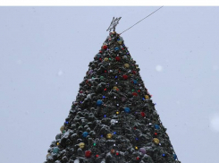 Открыли главную городскую ёлку