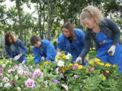 В шахтинском центре занятости прошла ярмарка вакансий