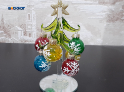 Три предпринимателя уже получили разрешения на торговлю: в Шахтах скоро откроются елочные базары