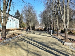 Реконструкция Александровского парка в Шахтах не должна быть остановлена