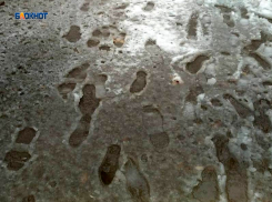 Сегодня обещают дождь со снегом в течение всего дня