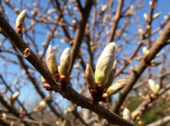 В последние дни февраля жителей города Шахты ждёт переменчивая и непредсказуемая погода