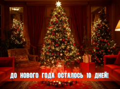 До нового года осталось 10 дней 