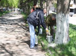 В Шахтах назначен день чистоты