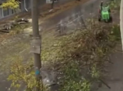 Спилили все деревья на одной из улиц у гимназии №7 в Шахтах