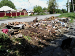 Город Шахты вошел в пятерку самых грязных городов России