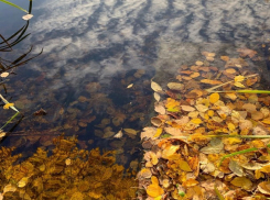 «День запнулся валенком за пень»: погода в Шахтах и приметы