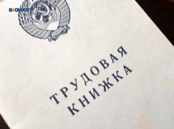 Работодателям деньги, молодежи – работа: программа субсидирования найма действует в Шахтах