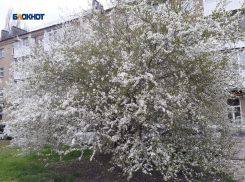 В Шахтах еще потеплеет, но пока пасмурно