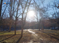 Сегодня синоптики обещают мороз и солнце