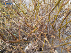 Зима не отступает, плюса пока не будет