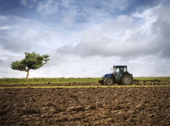На плодородных землях образовали карьер: выявлен факт незаконной добычи полезных ископаемых 