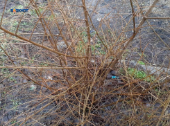 Осадки и ветер стихнут, выглянет солнце