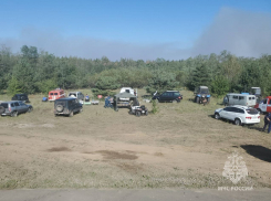 Крупный лесной пожар разгорелся в Каменском районе 