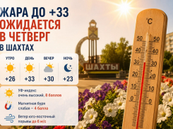 Жара до +33 градусов ожидается в четверг в Шахтах 