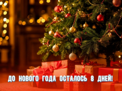До Нового года осталось 8 дней