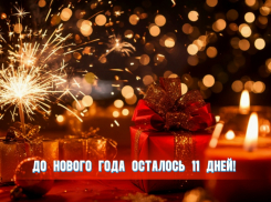 До Нового года осталось 11 дней 