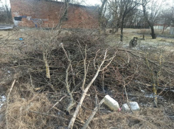 Власти города Шахты призывают жителей прийти на субботники